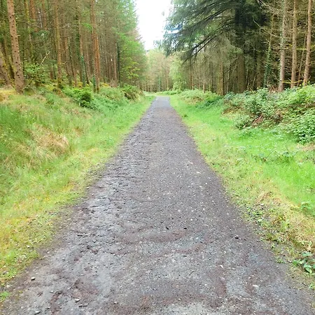 Glenbarrow Rosenallis