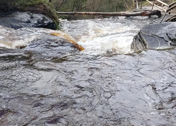 Landsted Glenbarrow *