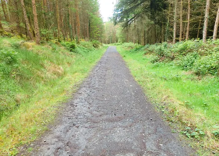 Glenbarrow Rosenallis